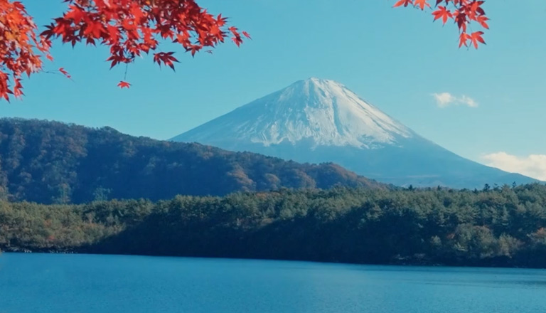 Tarjeta Visa Infinite Iberia