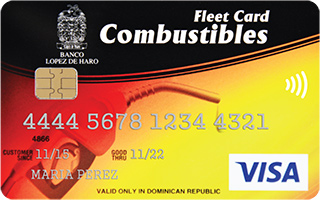 Visa Fleet Card Combustibles